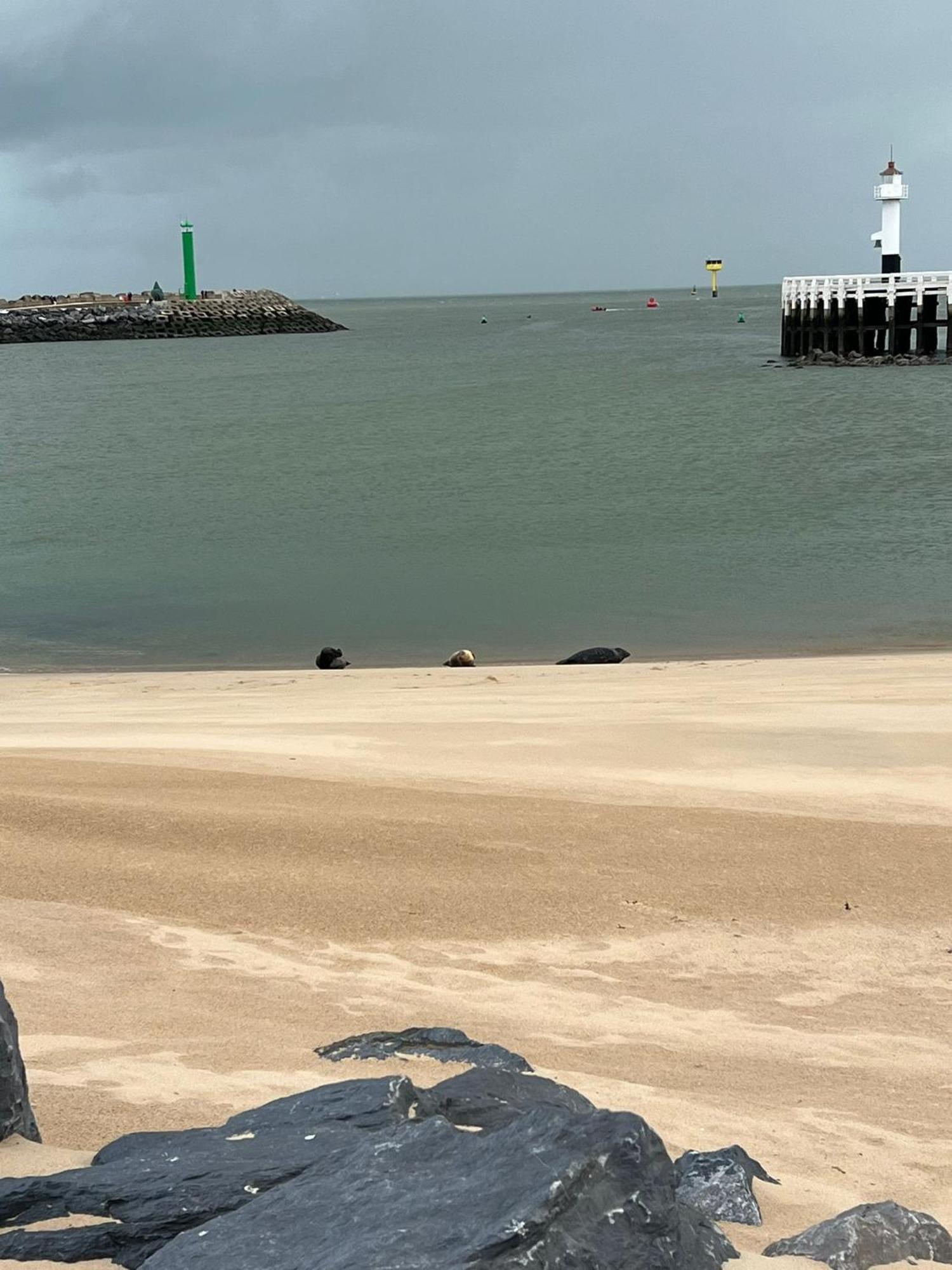Bonelly Apartment Ostend Luaran gambar